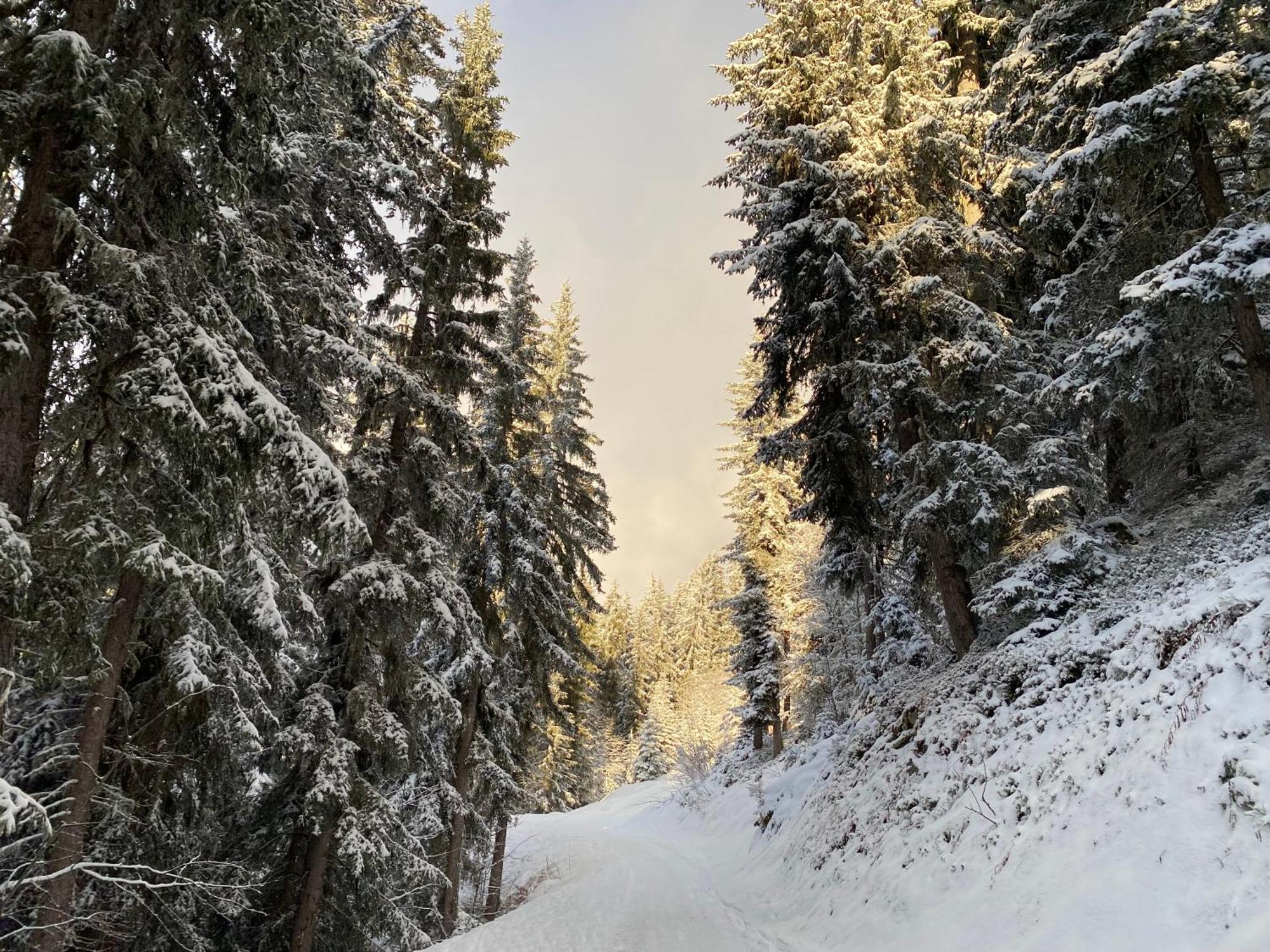 Verbier Valmont In Center ภายนอก รูปภาพ